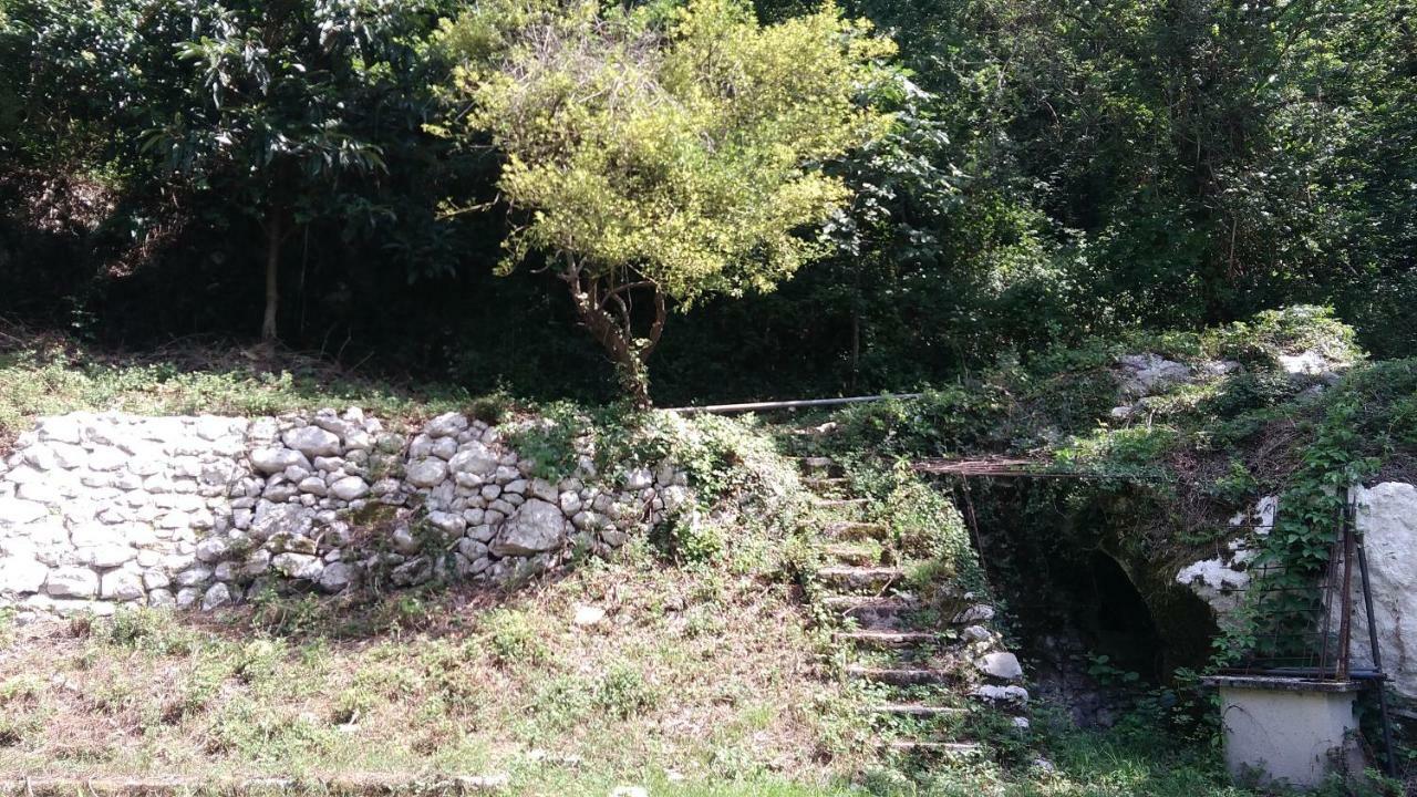 Villa Terrazza Sul Borgo Venzone Exterior foto